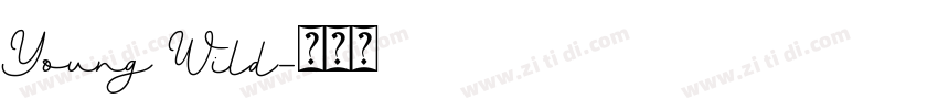Young Wild字体转换